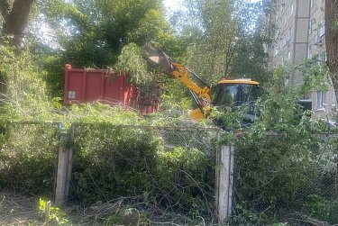 В детских садах ликвидированы аварийные деревья